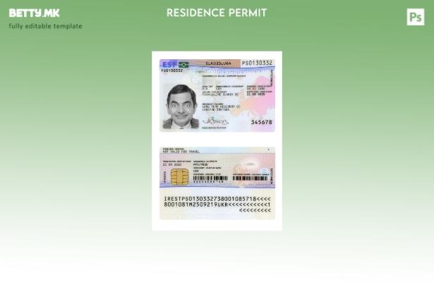 Картичка за дозвола за престој во модерен стил на Естонија, сегашен шаблон